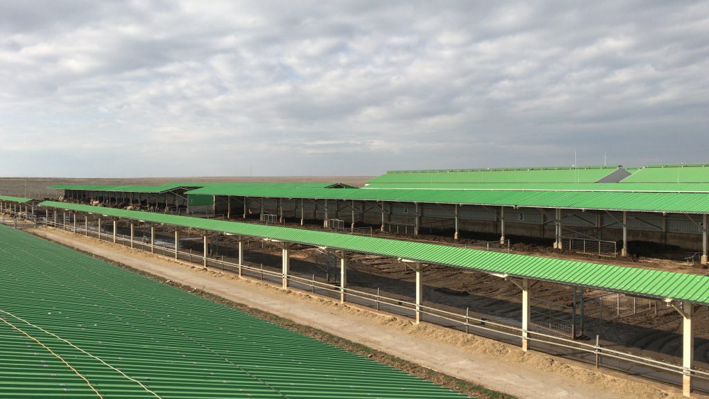 Hayvancılık Tesis Yapıları