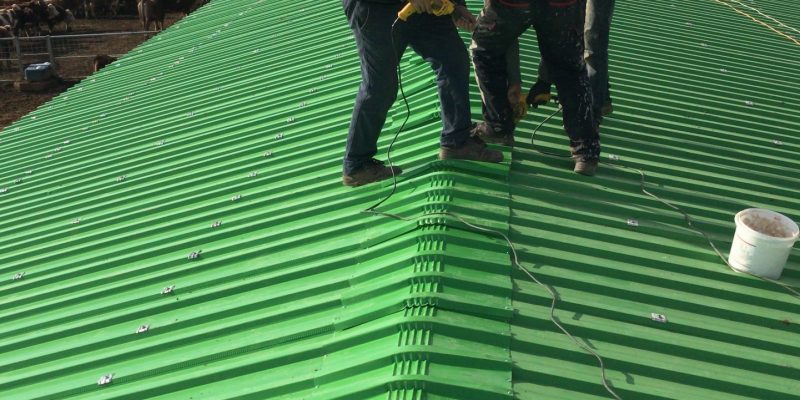 Hayvancılık Tesis Yapıları