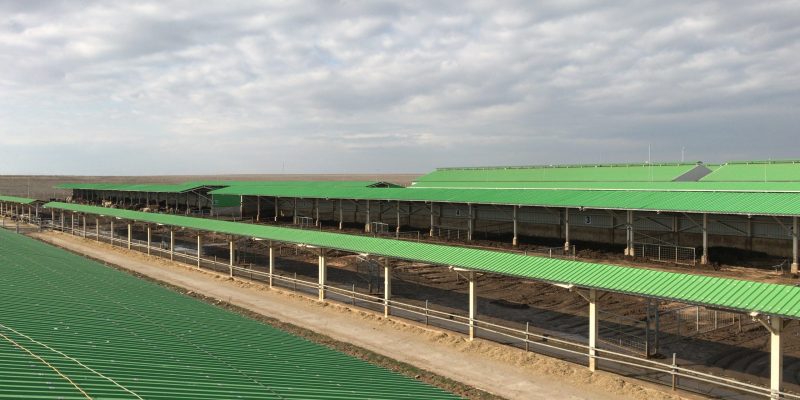 Hayvancılık Tesis Yapıları