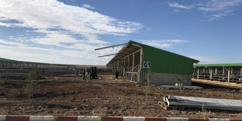 Hayvancılık Tesis Yapıları