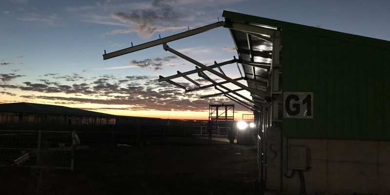 Hayvancılık Tesis Yapıları