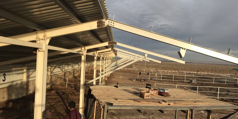 Hayvancılık Tesis Yapıları