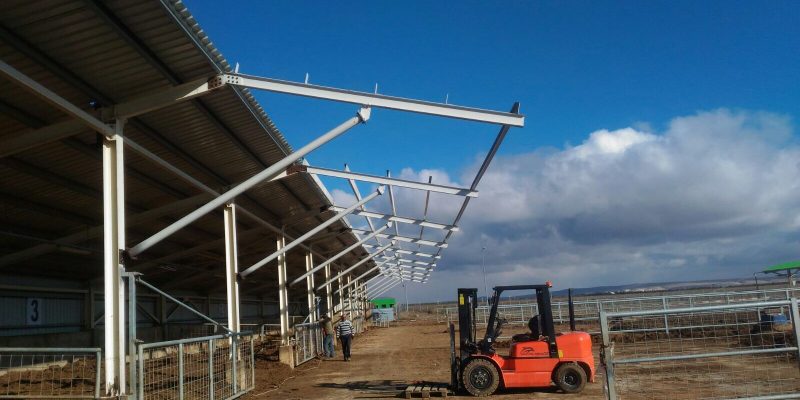 Hayvancılık Tesis Yapıları