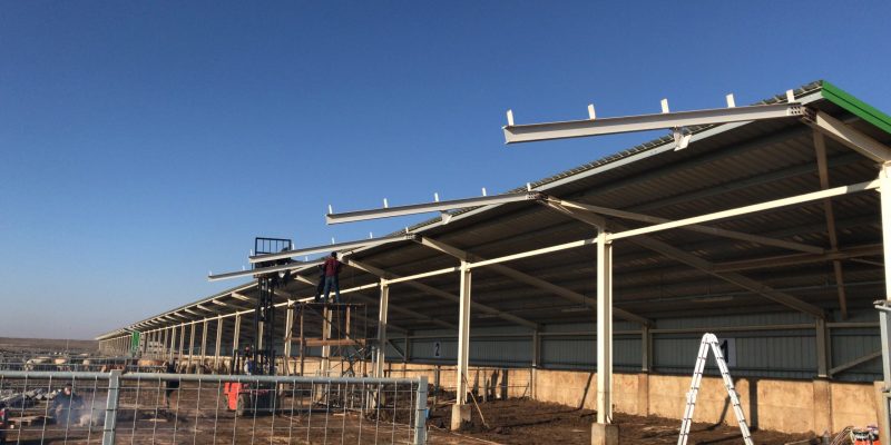 Hayvancılık Tesis Yapıları