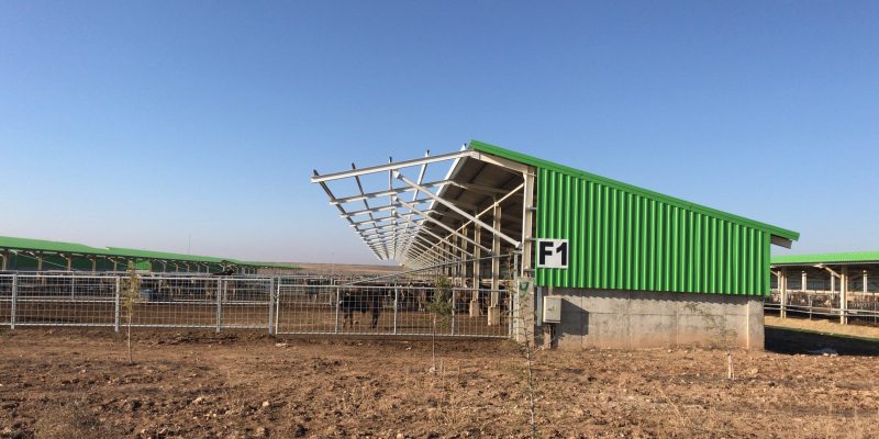 Hayvancılık Tesis Yapıları